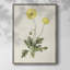 «Flowers of the Seasons», reproduction encadrée en bois massif-1922783315