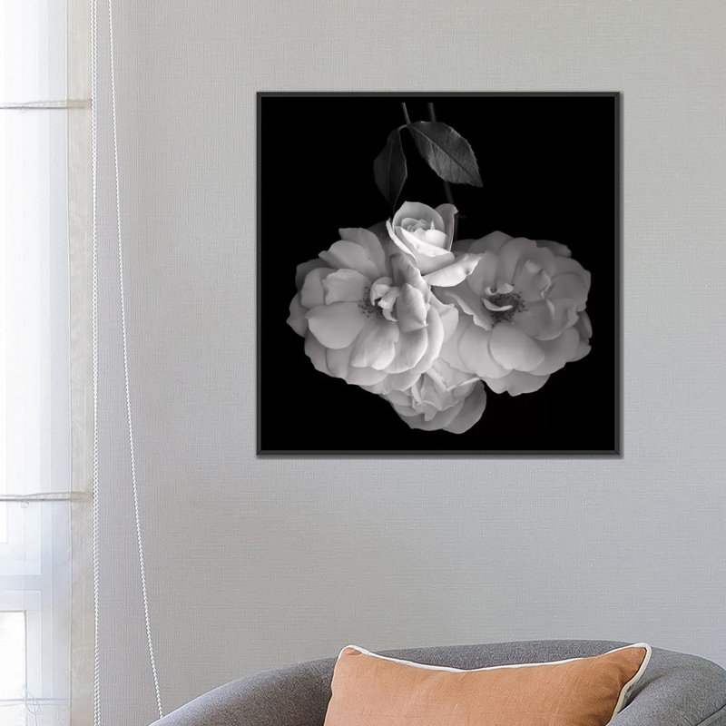 « rose white xvi, b&w » par magda indigo, reproduction d’art sur toile, H 26 po x l 26 po x P 1,5 po, Pas de tapis