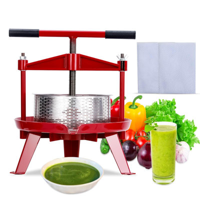 Extracteur de jus manuel Homasticgo
