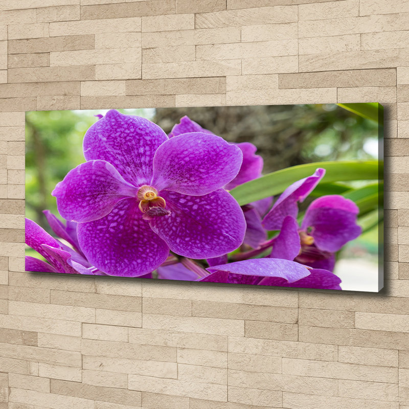 Orchid - No Frame Print on Canvas