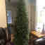 Customer photo 2 of 2