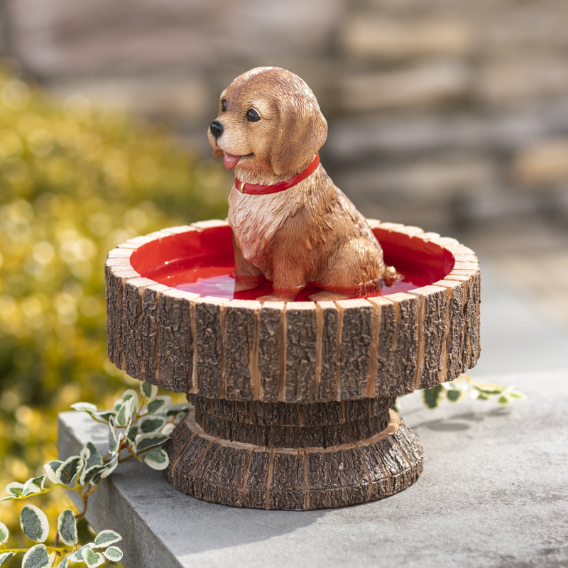 Resin Single Tier Birdbath