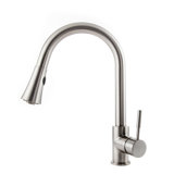 Edison Single Handle Kitchen Faucet with Side Spray and Accessories