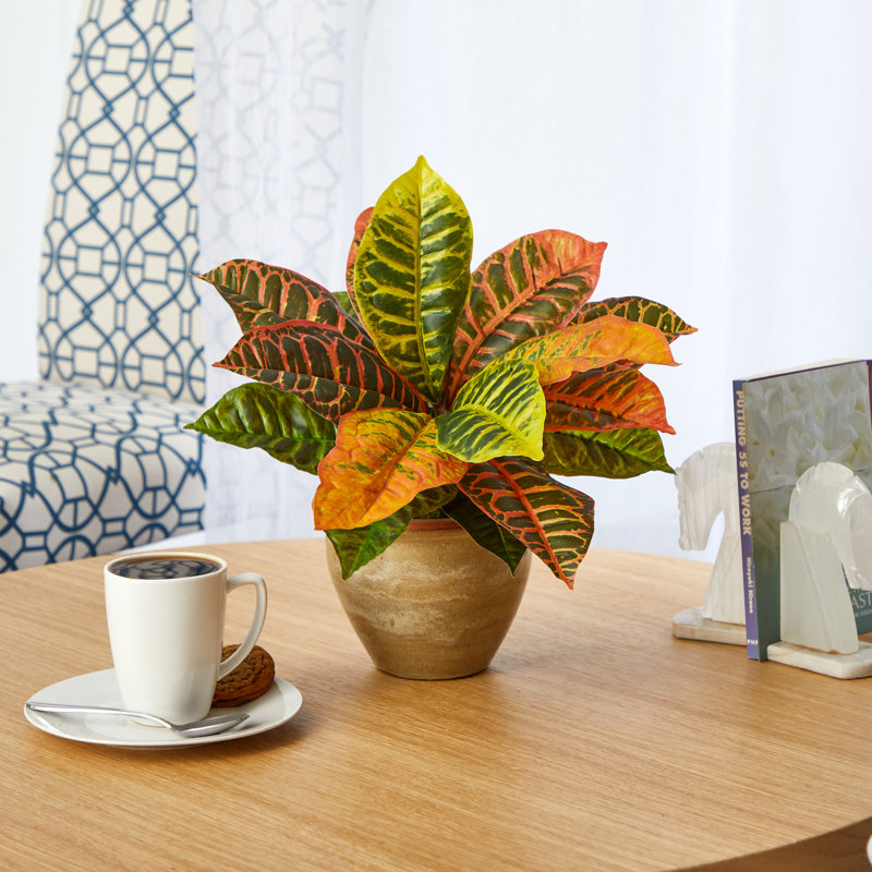 15'' Faux Croton Plant in Ceramic Planter