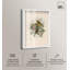 «Poem of New Life Shadowbox», reproduction d'art botanique par Art Remedy-118182543-118182547