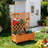 Tinatin 37" H 2-Piece Mobile Outdoor Raised Garden Bed with Trellis-611415752