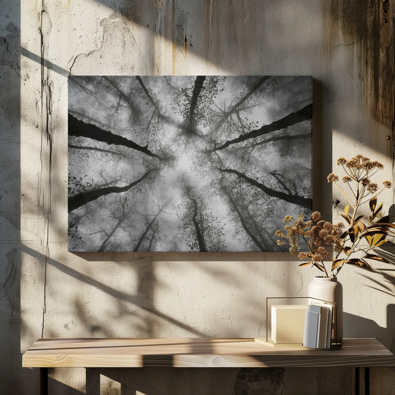 Wrapped Canvas Print, 50.8cm H x 76.2cm W