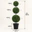 36 " H Faux Boxwood Topiary in Plastic Pot