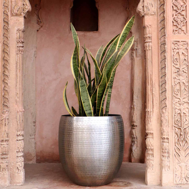 Locklin Handmade Metal Pot Planter, 43cm H x 42cm W x 42cm D