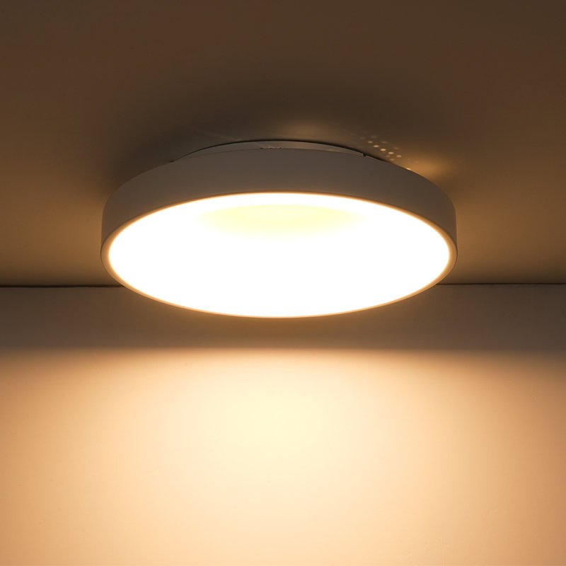Circular Dimmable LED Flush Mount