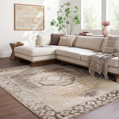 Moroccan Area Rug