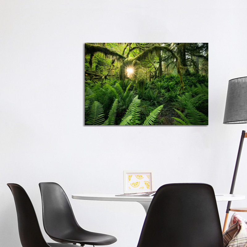 Elk's Gateway, Hoh Rainforest 1 Piece Wrapped Canvas Wall Art, 101.6 cm H x 66.04 cm W x 1.91 cm D