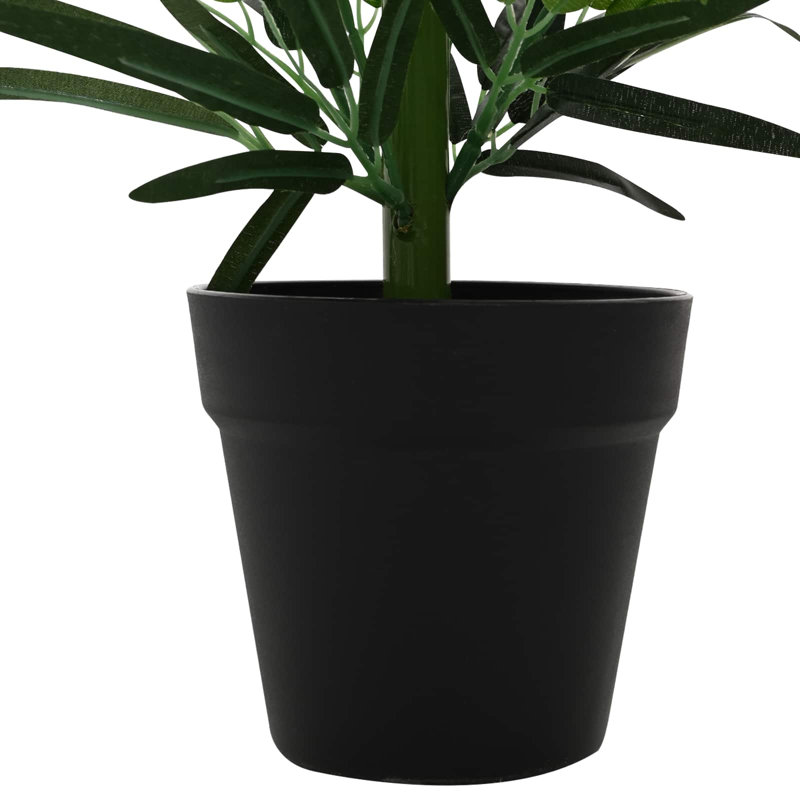 Plant, 1, 80cm H x 90cm W x 14cm D