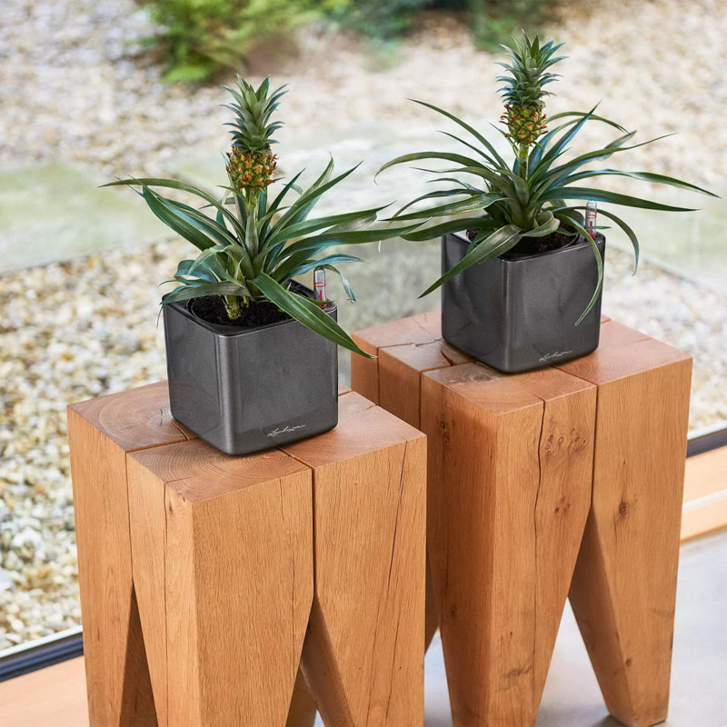 Cube Pot Planter, 14 cm H x 14 cm W x 14 cm D, Charcoal