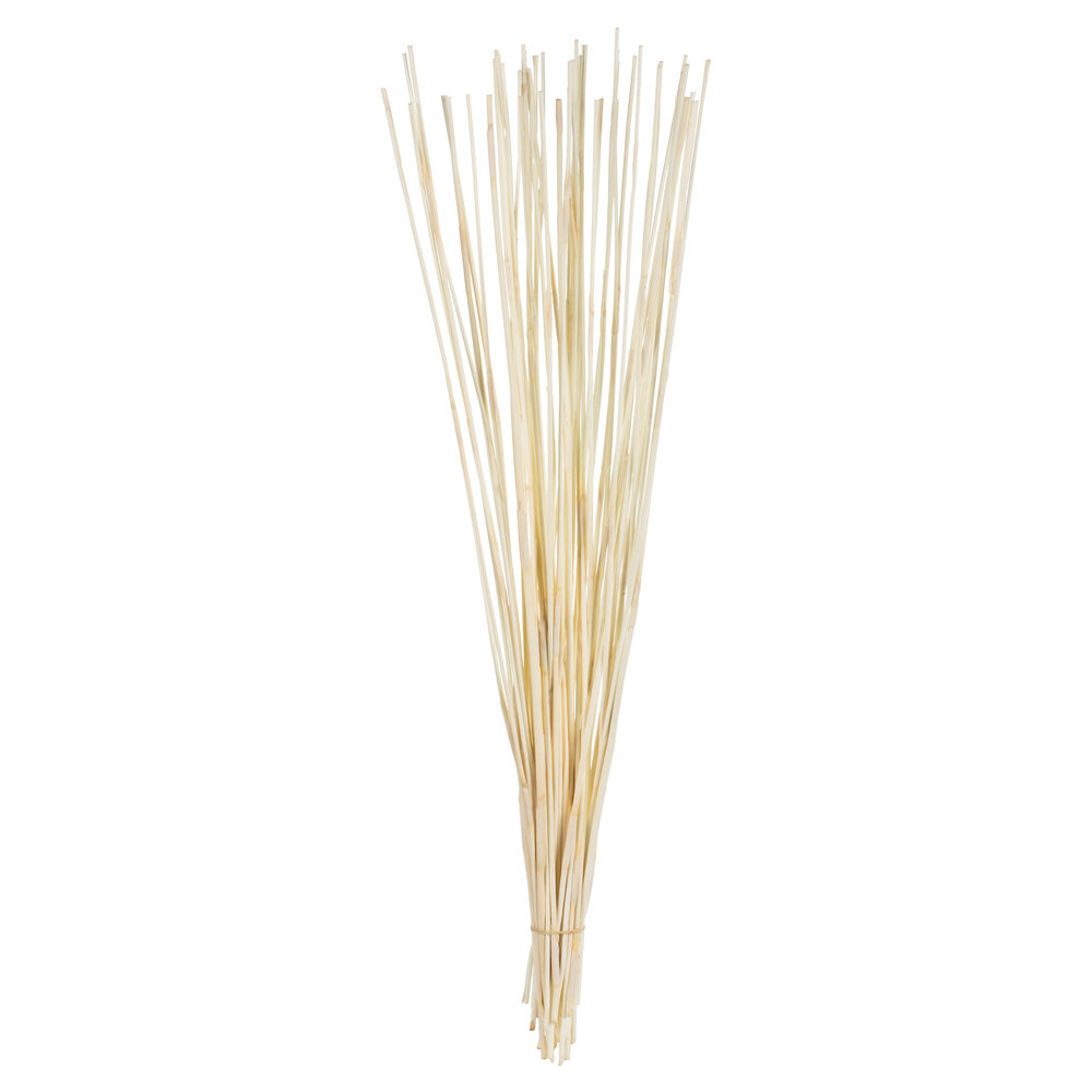 40" Elephant Reed, Dried, Bleached