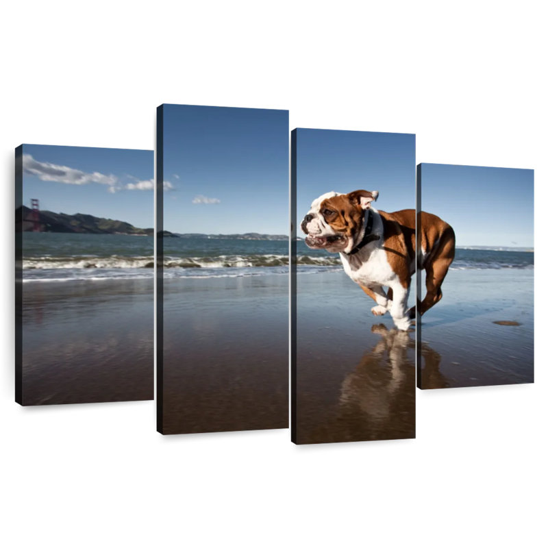 Brampt Dog Beach Run, 42" H x 68" W