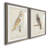 " Barn Owl " 2 - Pieces-458607452-458607451