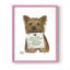 «Love and Yorkshire Terrier», reproduction encadrée - bois massif-560190679-560190678