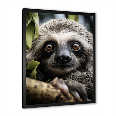 Loeda Sloth Portrait Vibrant, reproduction d'art sur toile