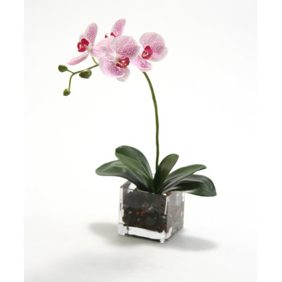 Silk Orchid Arrangement in Vase