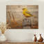 Oiseau pinson sur la clôture de la basse-cour III - Impression sur bois d'oiseau - sur bois de pin naturel-77525543
