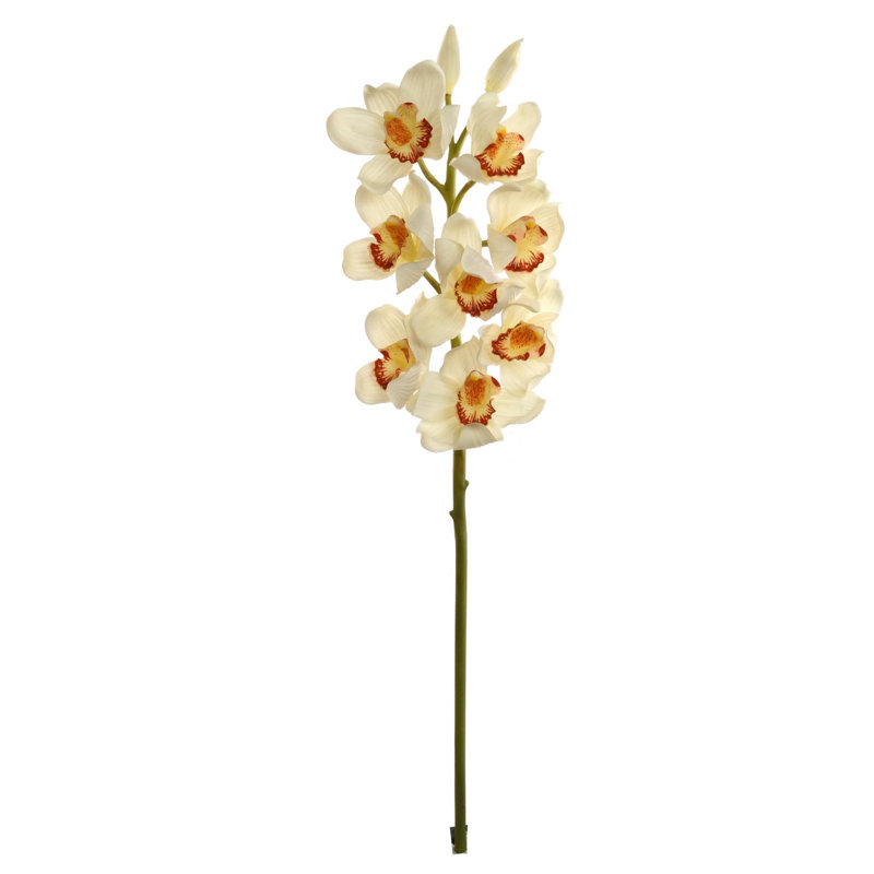 Tige en cymbidium de 30 po de hauteur avec 10 fleurs, Crème, 6