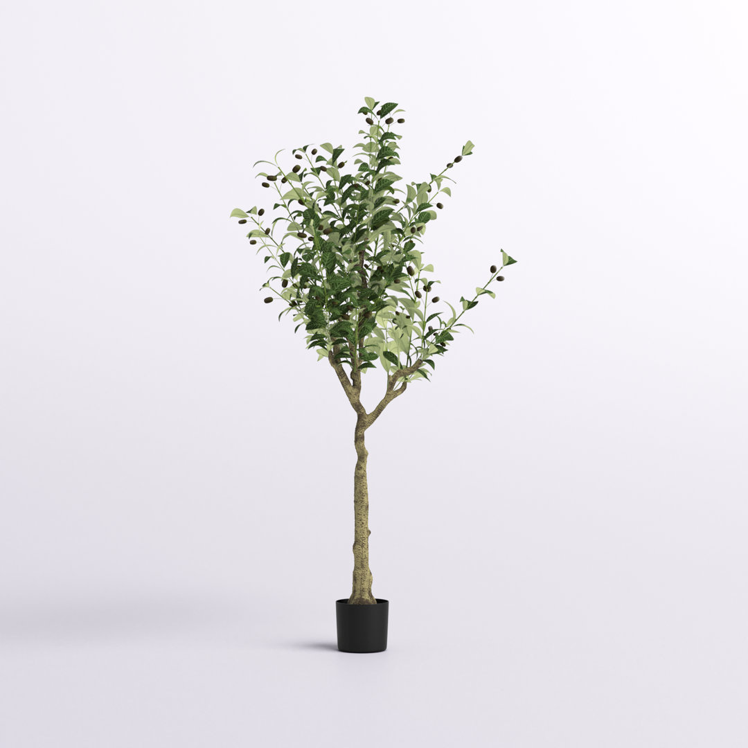 Faux Olive 60" Potted Tree Freeport Park®