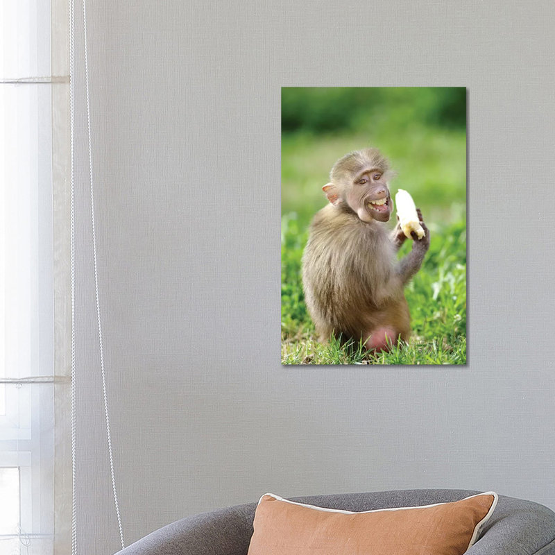 Smiling Monkey by Goran Anastasovski - Wrapped Canvas Print, 66.04 cm H x 45.72 cm W x 3.175 cm D