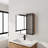 Bathroom Mirror Cabinet with Storage