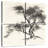 Harnek Sumi Tree II