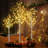 LED Lighted Trees & Branches