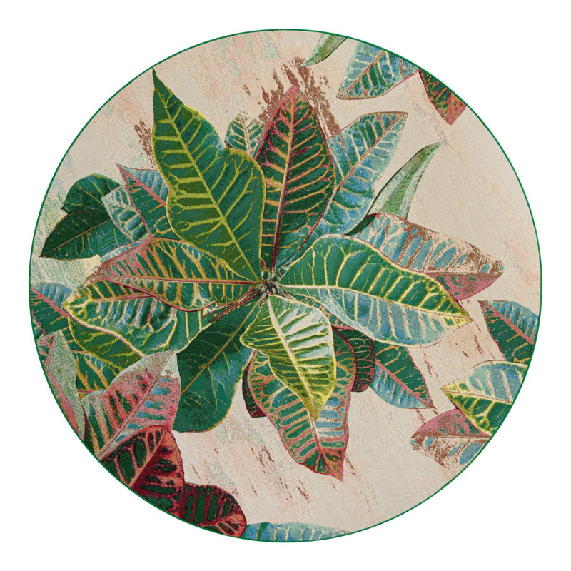 Firman Wygant Floral Machine Made Polypropylene Indoor / Outdoor Area Rug in Green/Red/Beige, Round 7'10"