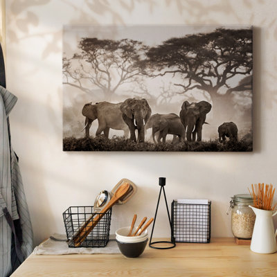 Parc national Amboseli, toile tendue avec châssis