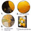Lemon Loops Abstract Shapes I - formes abstraites, art mural-95870286-95870291