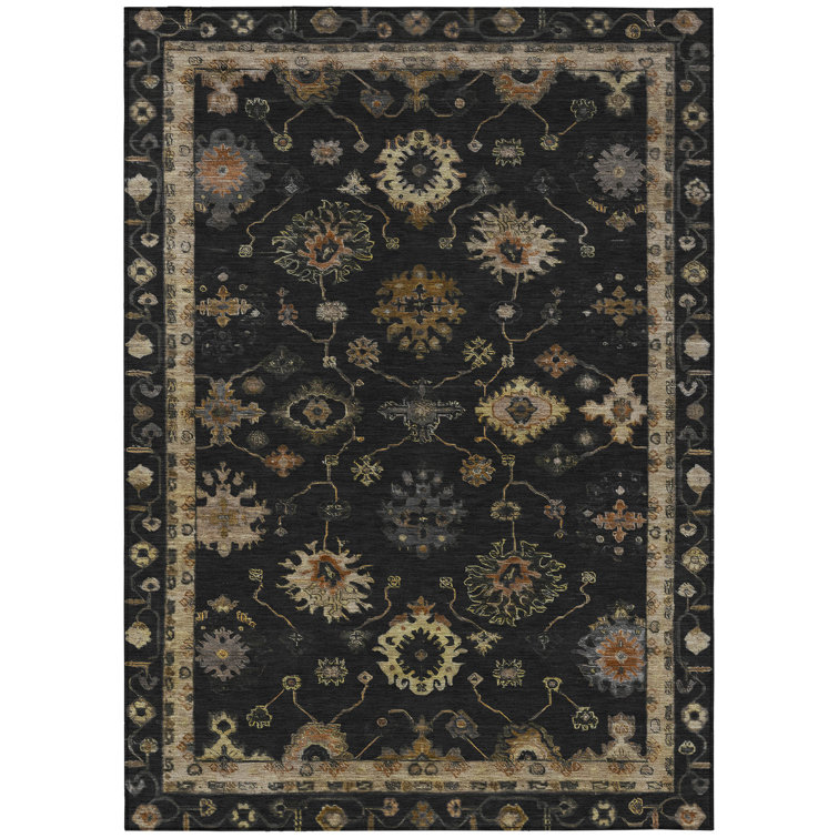 Machine Washable Indoor/Outdoor Xhevrie Black Rug