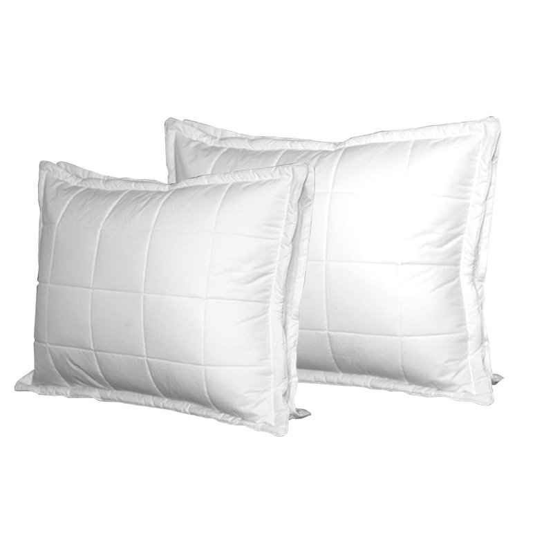 Oreiller en duvet d'oie Kittredge, Grand