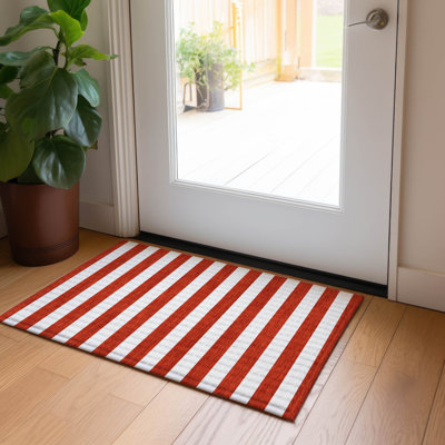Washable Striped Indoor / Outdoor Rug