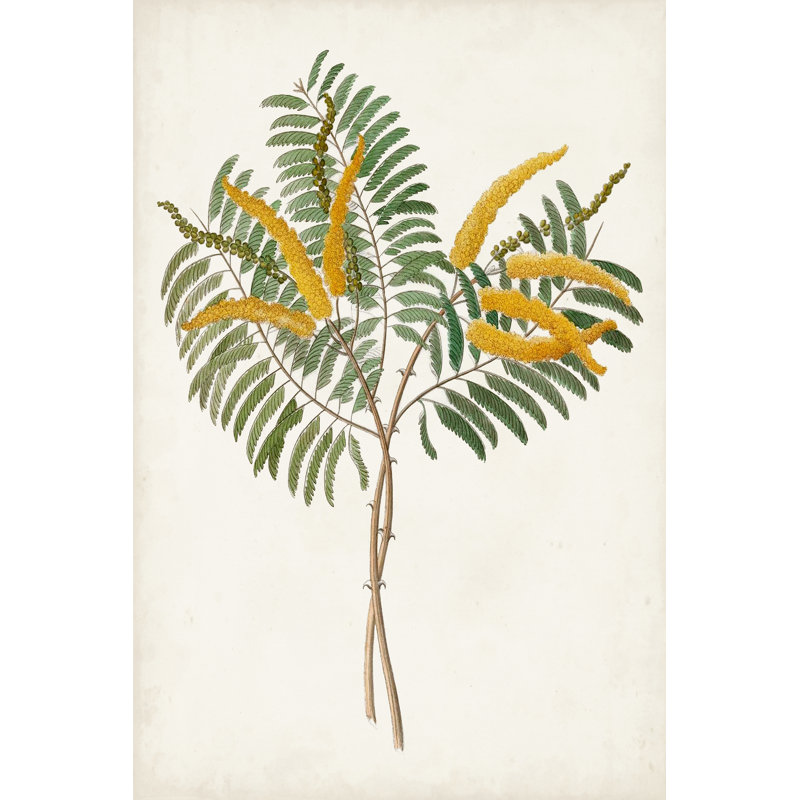 Botanical of the Tropics VIII - Painting, 122 cm H x 81 cm W, Black Floater Framed