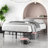 Higbee Bed-709101595