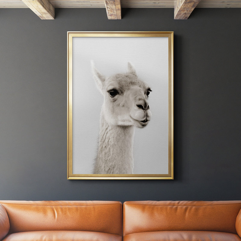 Ahjahnae Soft Llama - seul cadre imprimé, Or, H 42,5 po x l 30,5 po x P 1 po