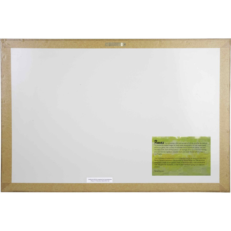 Parvez Taj - Wrapped Canvas Print, 41cm H x 61cm W