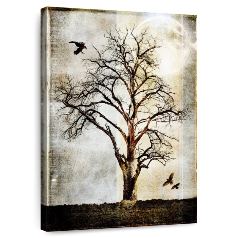 Arbre à coton Harnek I, H 36 po x l 24 po