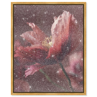 Merlot Blush Blossom II Graphic Art Canvas