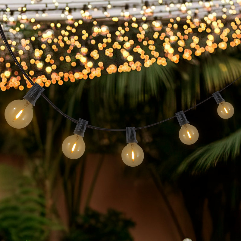 Outdoor 25 - Bulb 300'' Plug-in Globe String Light, Black