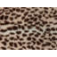 Airon Polyester Animal Print Bedspread-1138246229