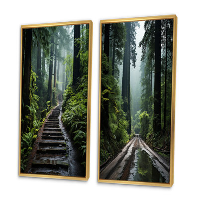 «USA Jedediah Smith Redwoods Forest», 2 pièces