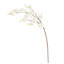 Vaporisateur de fleurs de cerisier naturel Veasey-920205471