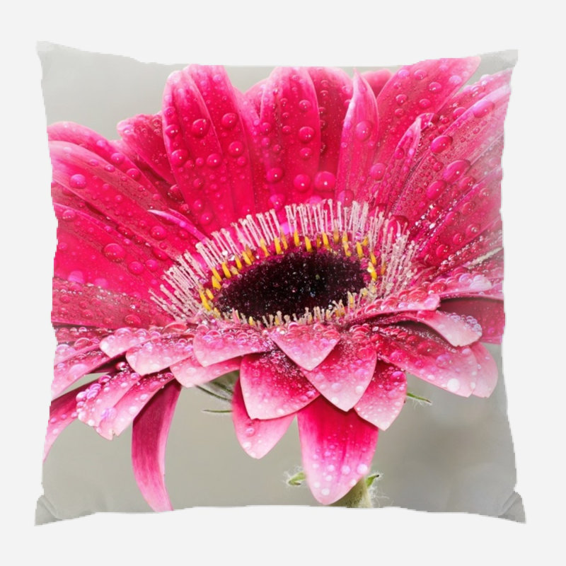 Coussin décoratif fleur, Intérieur