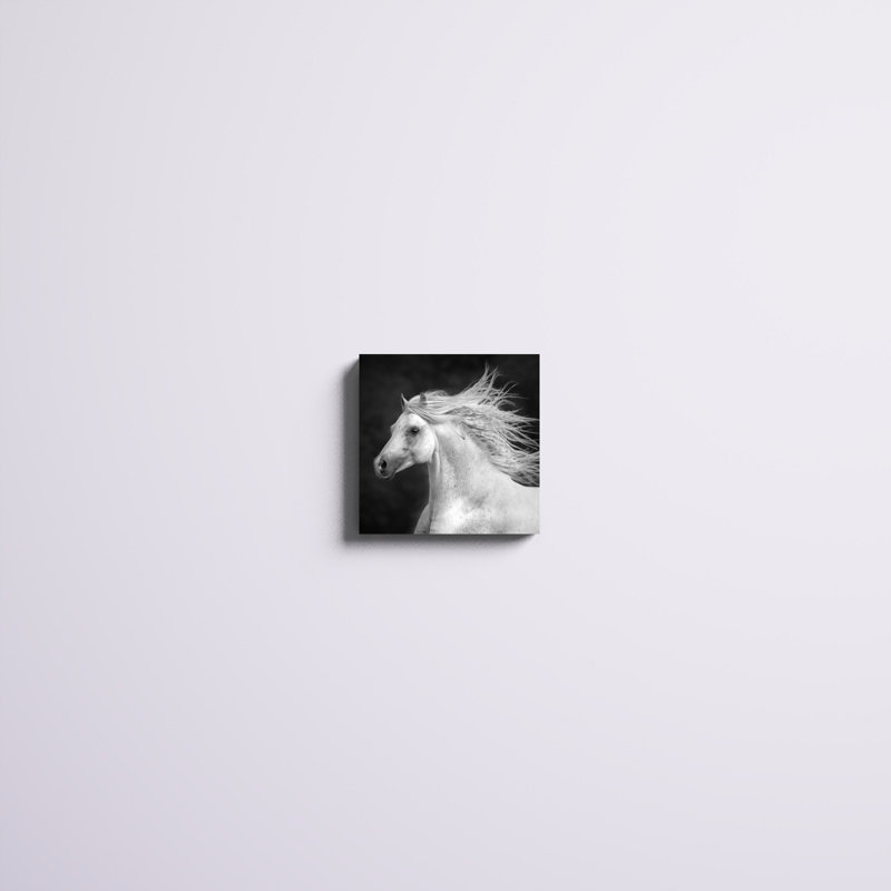 "B&W Horses IV" par PHBurchett, impression sur toile, H 12 po x l 12 po x P 1,25 po, Toile tendue