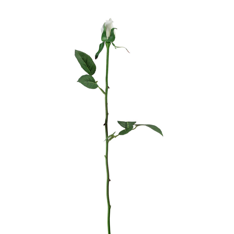 Rose Arrangement